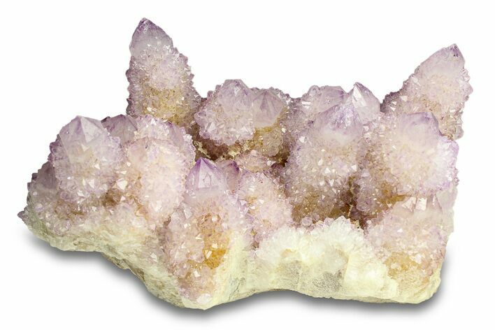 Spectacular Cactus Amethyst Crystal Cluster - South Africa #301885